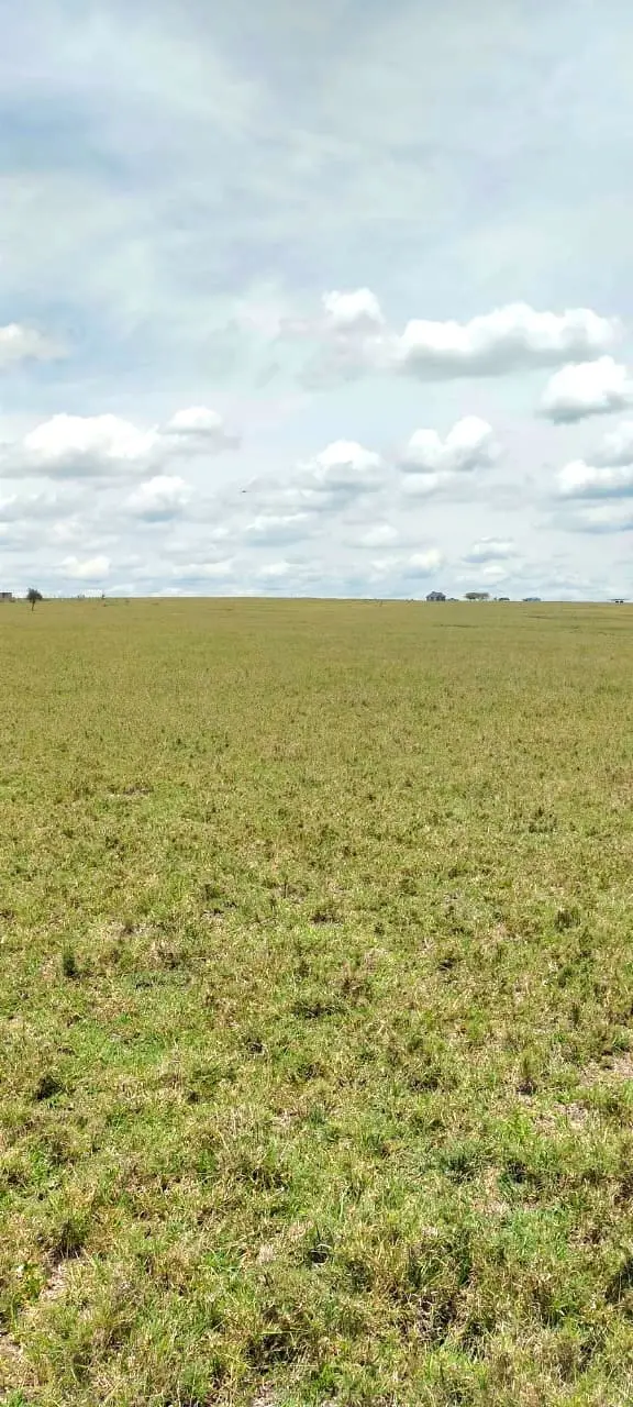 70 Acres in Kitengela, Acacia